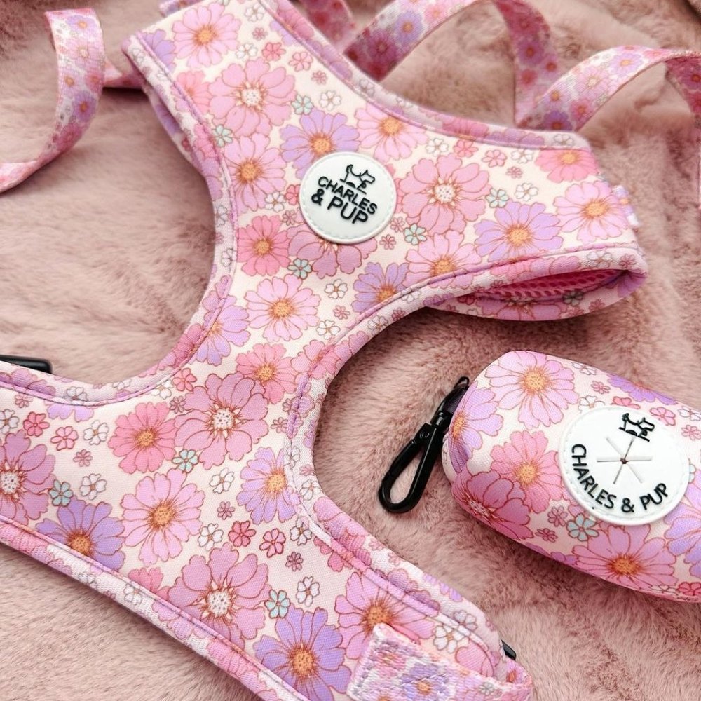 Charles and Pup - Walking Set - Flower Field